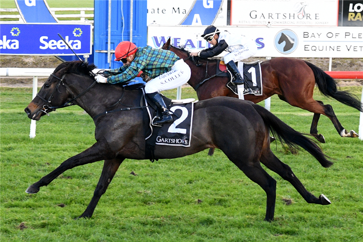 CORK winning the TEAM WEALLEANS TAURANGA CLASSIC
