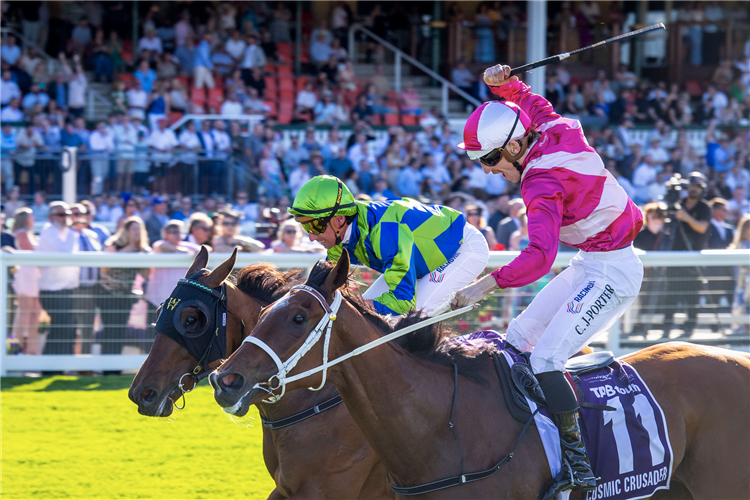 COSMIC CRUSADER winning the Tabtouch Northerly Stakes