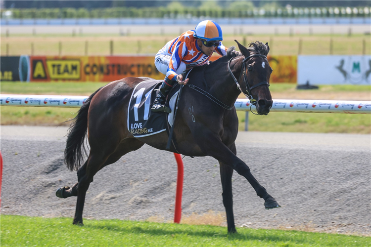 COURT OF APPEAL winning the VERNON VAZEY 0800 & TRUCK PARTS