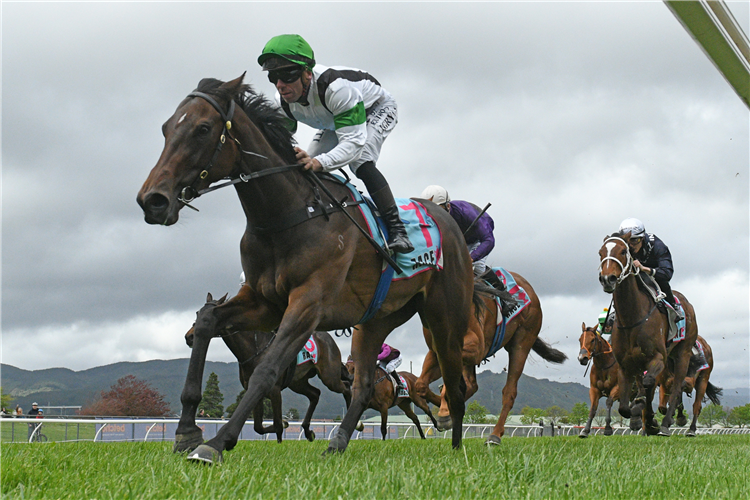 CREAM TART winning the UPPER HUTT CAR SALES LTD THREE-YEAR-OLD