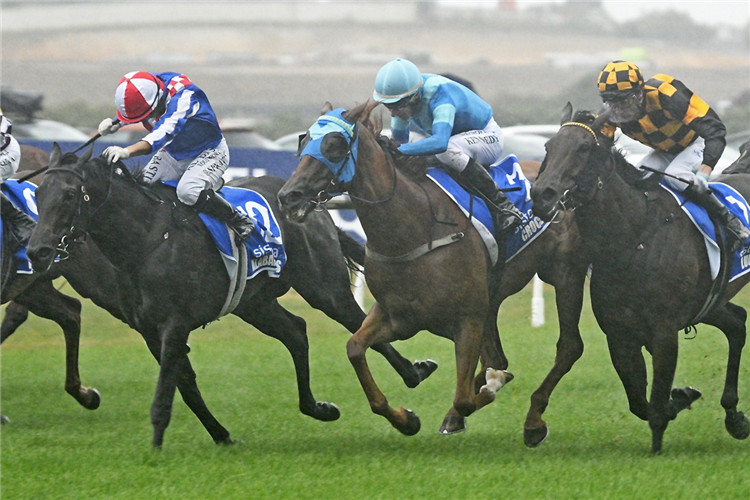 Railway Racing 2026 Nz Railway Stakes: Race History | Racing and Sports
