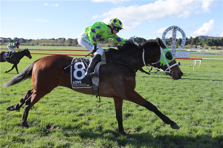 CROUCH winning the CAVALLO FARMS & CHRIS RUTTEN BLOODSTOCK HANDICAP