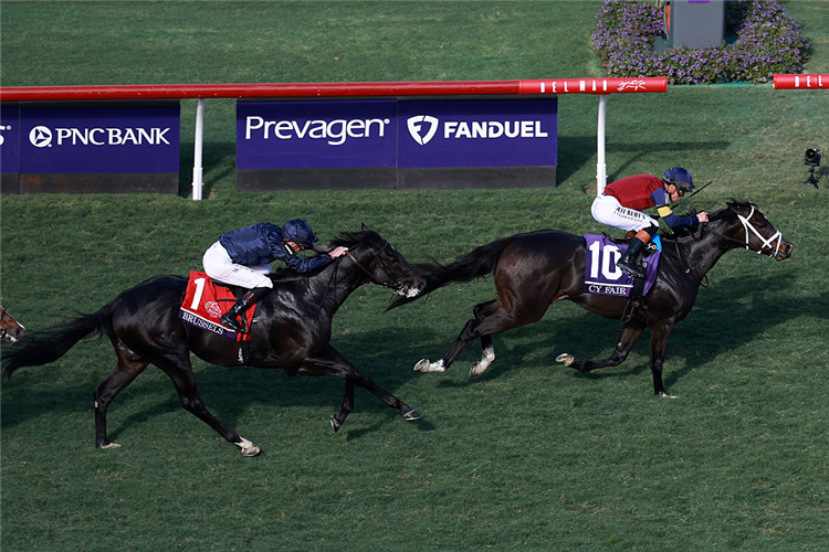 CY FAIR winning the Breeders' Cup Juvenile Turf Sprint at Del Mar in California.