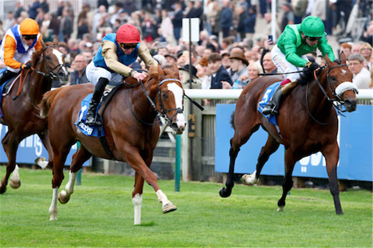 DAMYSUS winning the Darley Stakes at Newmarket in England.