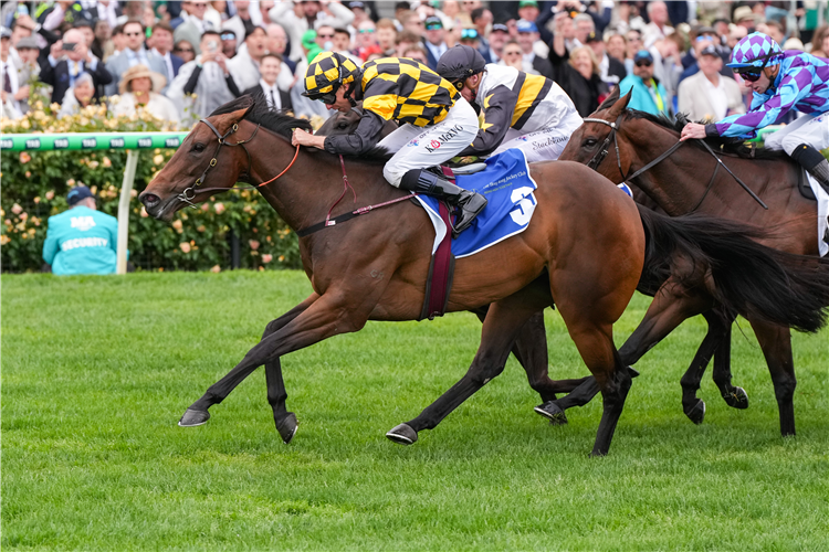 DANCE TO THE BOOM winning the The Hong Kong Jockey Club Stakes at Flemington in Australia.