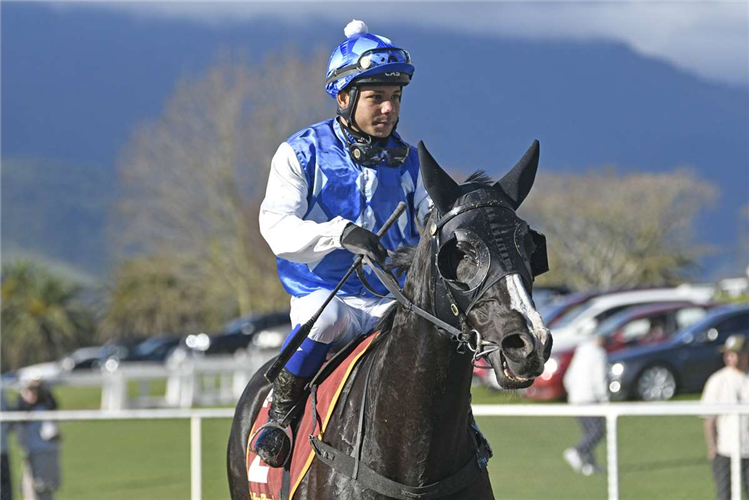 Abhay Seesa returns to the Te Aroha birdcage after winning the JT Carter Plumbers Amateur Riders (2200m) aboard Dancin In The Dark.