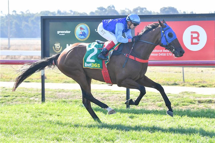 Dandruff winning the Manhari Handicap at Ararat Racecourse in Australia.