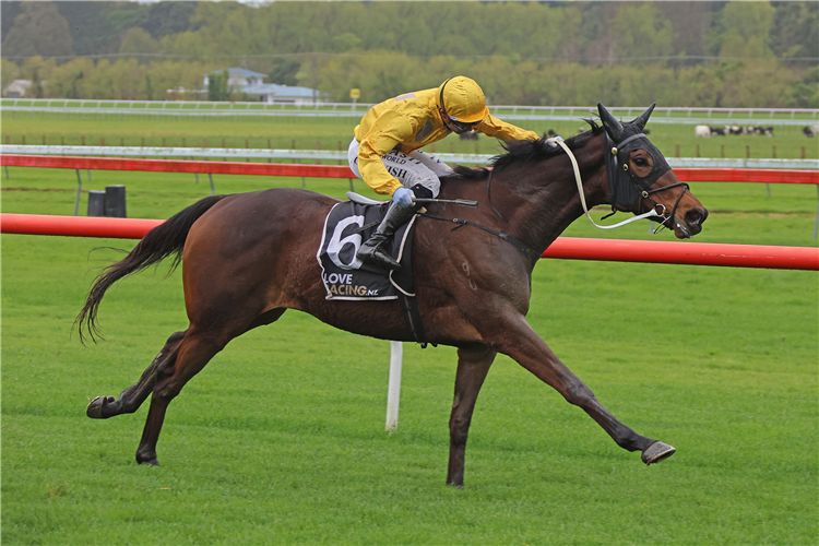 DANJURO winning the THE TELE OTAKI HANDICAP