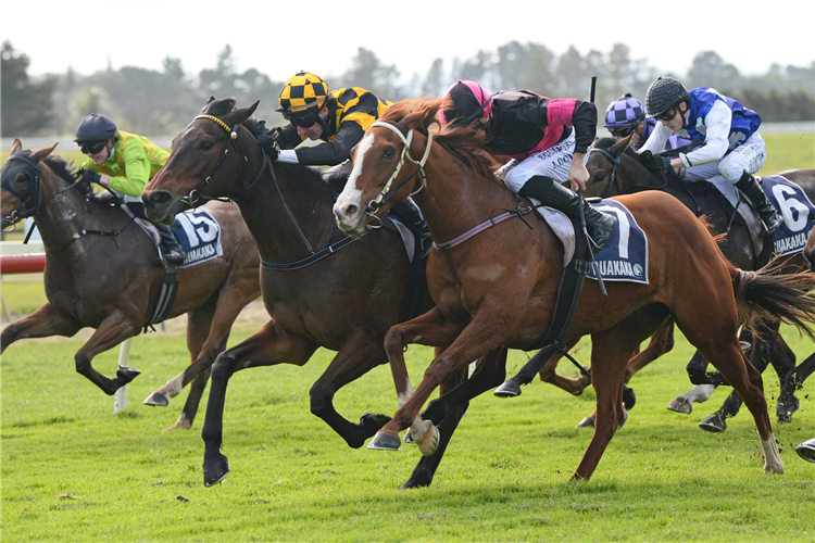 DARING DAME (centre) winning the KENSINGTON TAVERN - Hi-Res