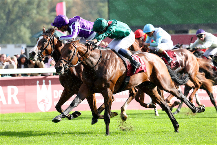 DARYZ (green cap) winning the Prix de l'Arc de Triomphe at Longchamp in France.