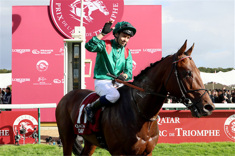 DARYZ after winning the Prix de l'Arc de Triomphe at Longchamp in France.