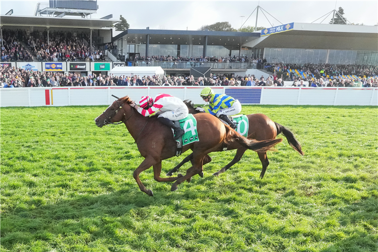Dashing won the Wangoom for Tom Madden.