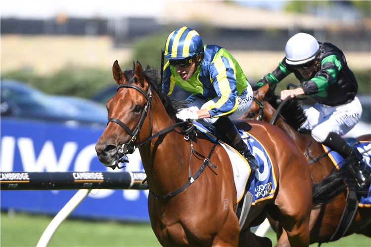 DAY ONE winning the BARFOOT & THOMPSON