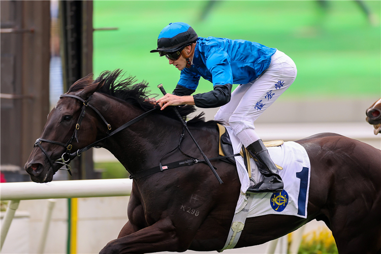 DAZZLING FIT winning the TIN SAM HANDICAP