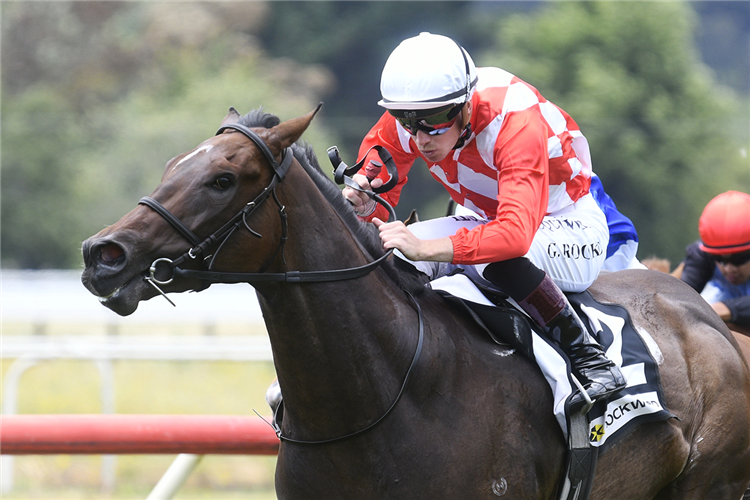 DEALT WITH winning the TAB KARAKA MILLIONS 3YO