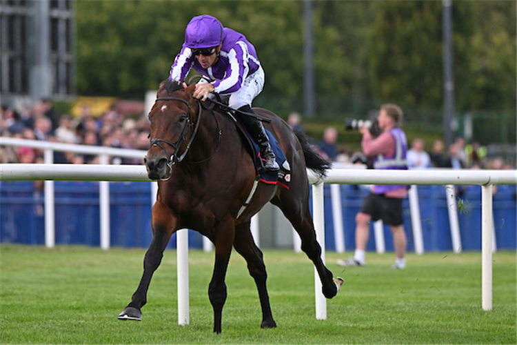DELACROIX winning the Irish Champion Stakes at Leopardstown in Ireland.