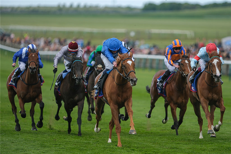 DESERT FLOWER (centre, blue cap) winning the 1000 Guineas Stakes at Newmarket in England.