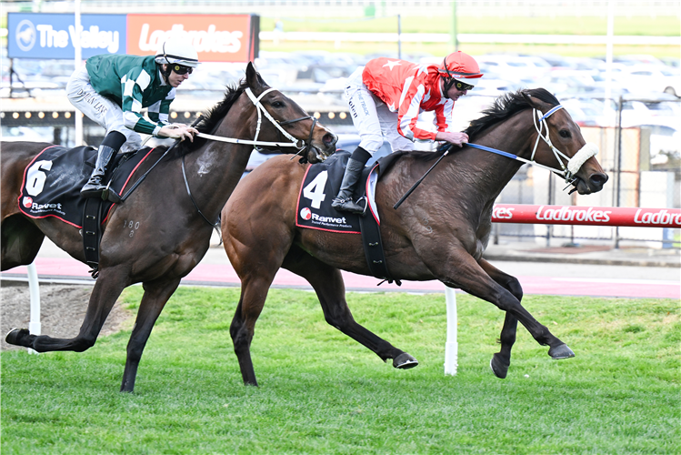 DESERT LIGHTNING winning the Ranvet So You Think Stakes at Moonee Valley in Australia.