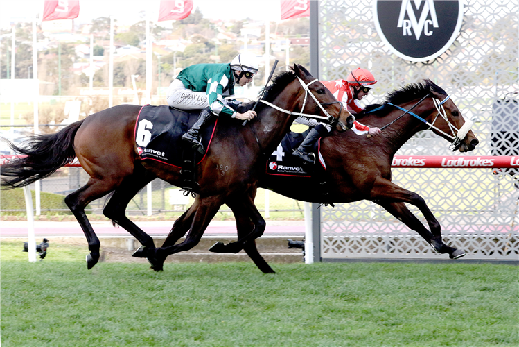 DESERT LIGHTNING winning the Ranvet So You Think Stakes