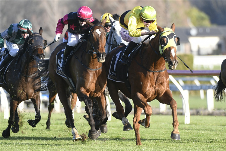 DIAMOND JAK winning the THE CALLINAN FAMILY TAUMARUNUI GOLD CUP
