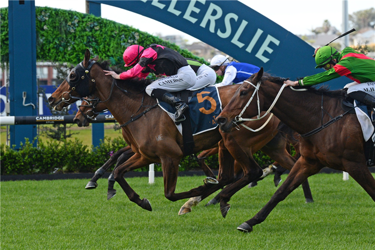 DIAMOND JAK winning the STELLA ARTOIS
