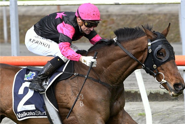 DIAMOND JAK winning the RUSSELL & YVONNE GREEN MEMORIAL
