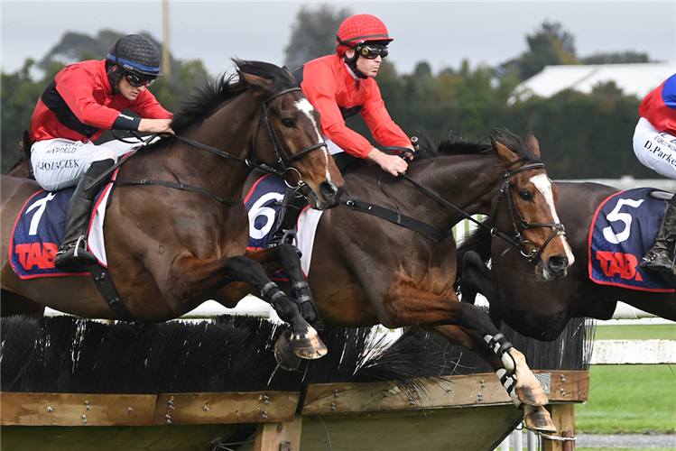 DICTATION (red cap) winning the FAIRVIEW MOTORS WAIKATO HURDLE