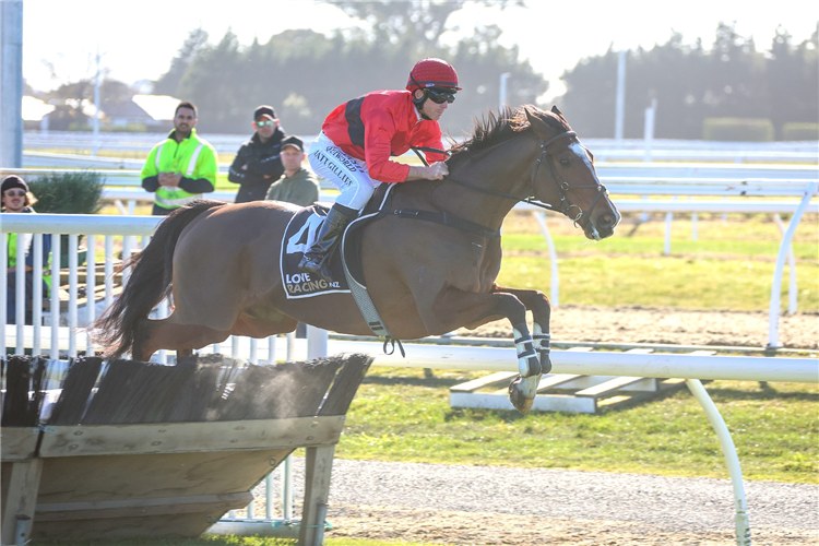 DICTATION winning the AVON CITY FORD SYDENHAM HURDLES