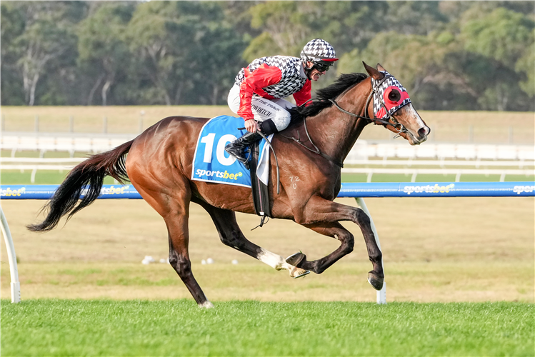 Diwali winning the Sportsbet Sandown Cup at Sandown Lakeside in Australia.