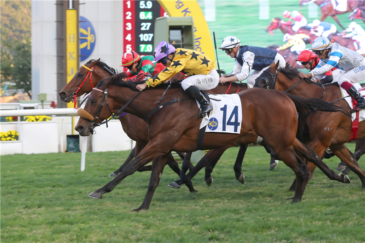 DRAGON JOY winning the PAK SHEK AU HANDICAP