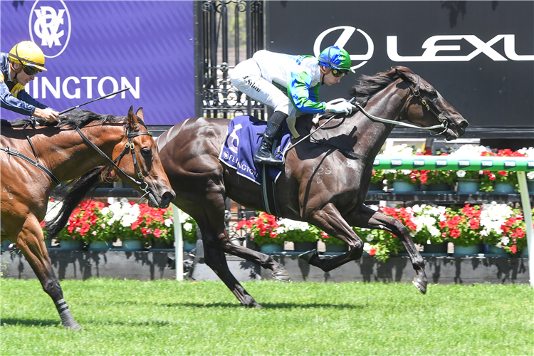 DREAM ALL DAY winning the Henry Byron Moore Handicap at Flemington in Australia.