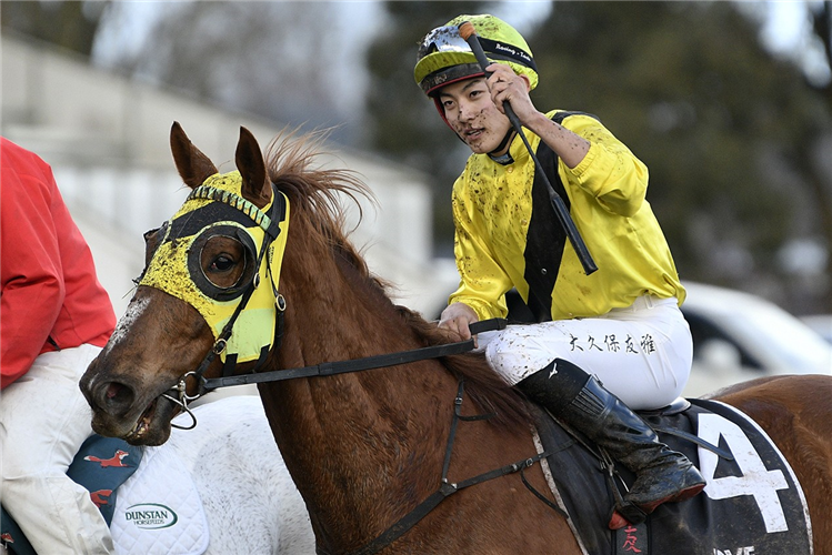 DROP OF SOMETHING winning the UBP TE AWAMUTU CUP