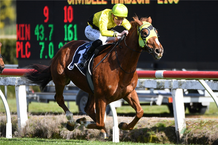 DROP OF SOMETHING winning the SAVABEEL