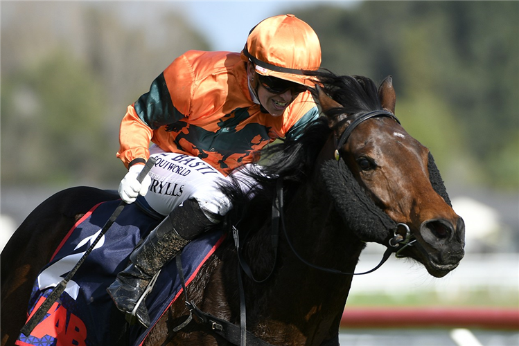 EAGLE ROCK winning the MATT EDWARDS - LIME GROUP MILE