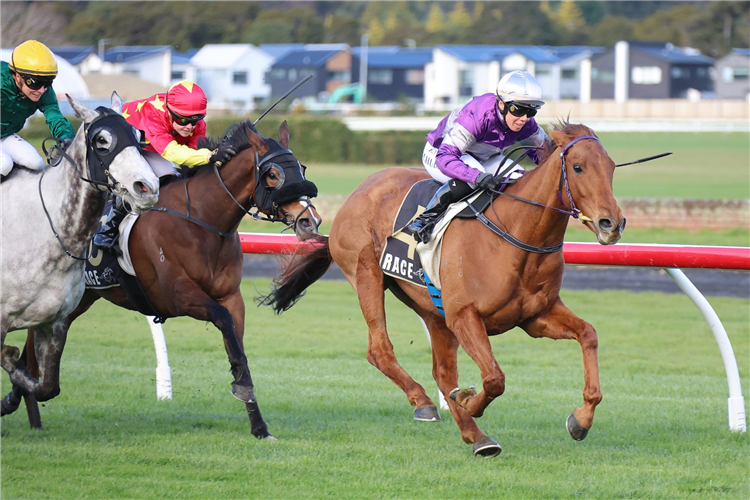 EARS BACK winning the HUNTERVILLE VET CLUB METRIC MILE