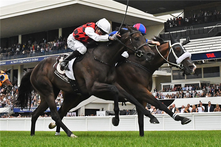 EL VENCEDOR winning the BONECRUSHER NEW ZEALAND STAKES