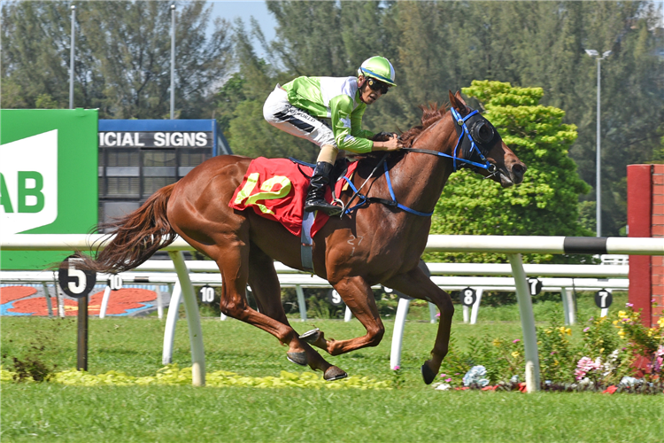 ELITE PRINCE winning the SELANGOR Race 7