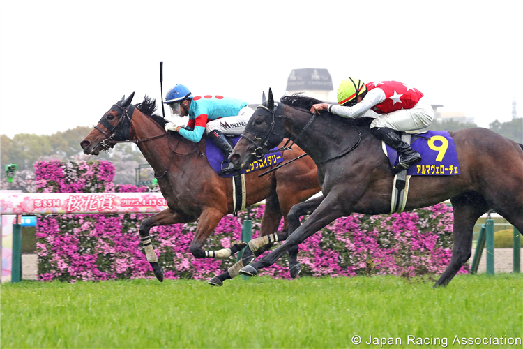EMBROIDERY winning the Oka Sho at Hanshin in Japan.