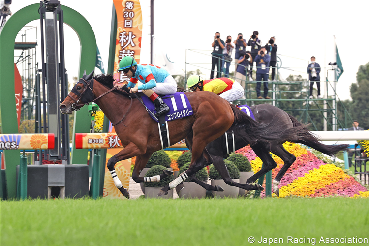 EMBROIDERY winning the Shuka Sho at Kyoto in Japan.