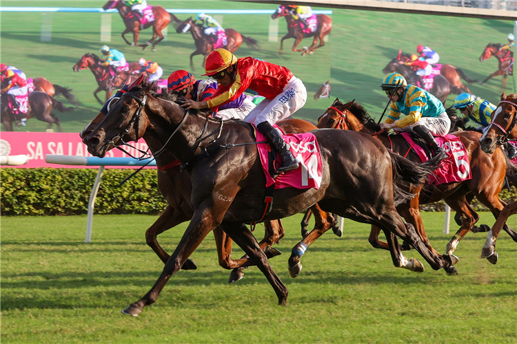 ENCOUNTERED winning the THE SA SA LADIES' PURSE (HANDICAP)