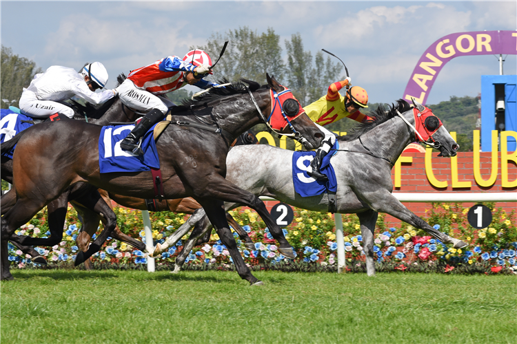 ENERGY BABY winning the Race 7 (747)