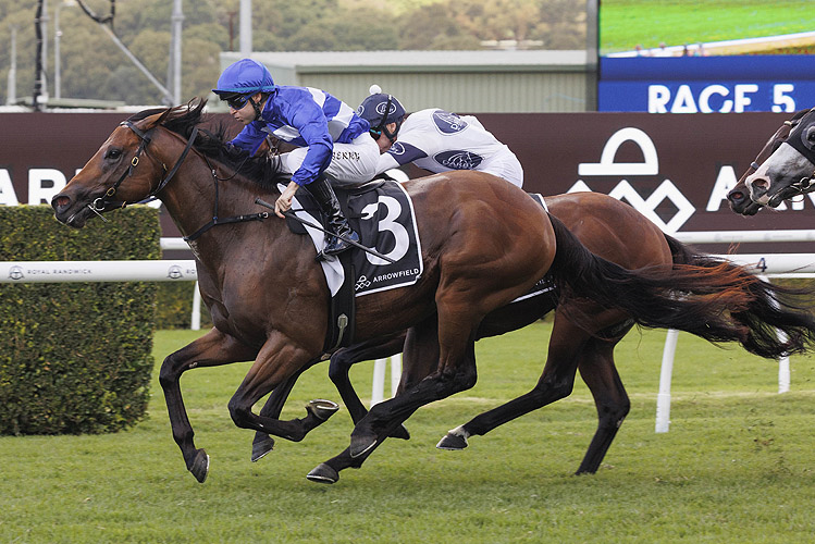 ENRICHED winning the ARROWFIELD 3YO SPRINT