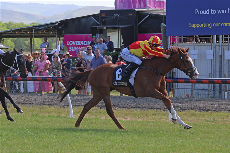 ENRIGHT winning the DMAK ELECTRICAL WAIPUKURAU CUP