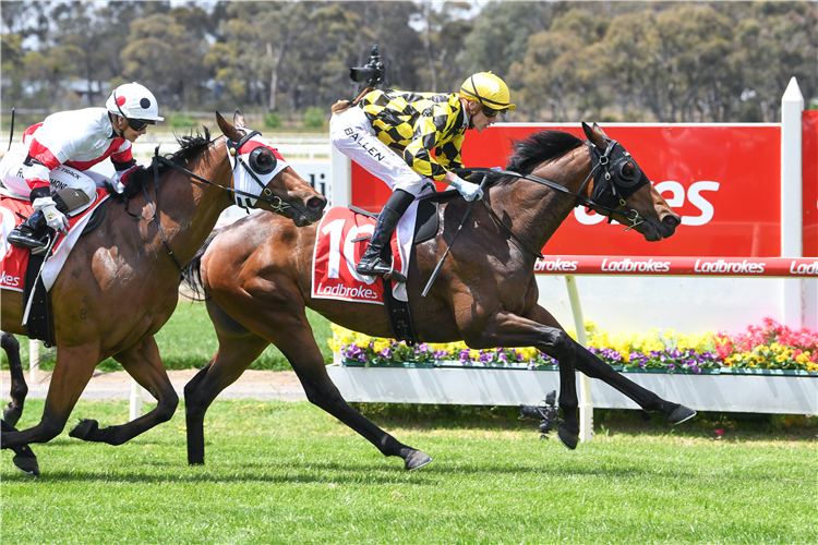 ENTRUSTING winning the Bendigo Locksmiths Handicap at Bendigo in Australia.