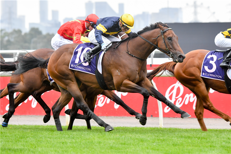ENXUTO winning the Curragh Handicap at Flemington in Australia.