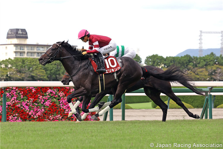 ERI KING winning the Kobe Shimbun Hai at Hanshin in Japan.