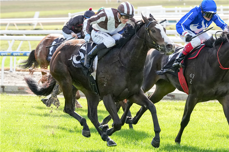 ETHEREUM GIRL winning the Total Animal Supplies Handicap at MORNINGTON in Australia.