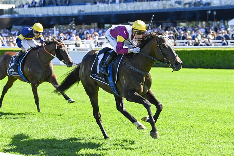 EVAPORATE winning the HKJC WORLD POOL CARBINE CLUB STAKES at Randwick in Australia.