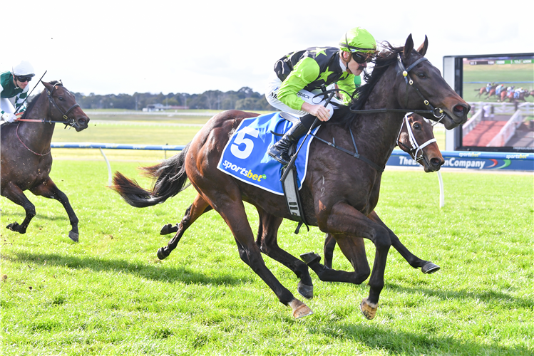 EXPRESS CLASS winning the Sportsbet Race Previews Handicap at Sandown Hillside in Australia.