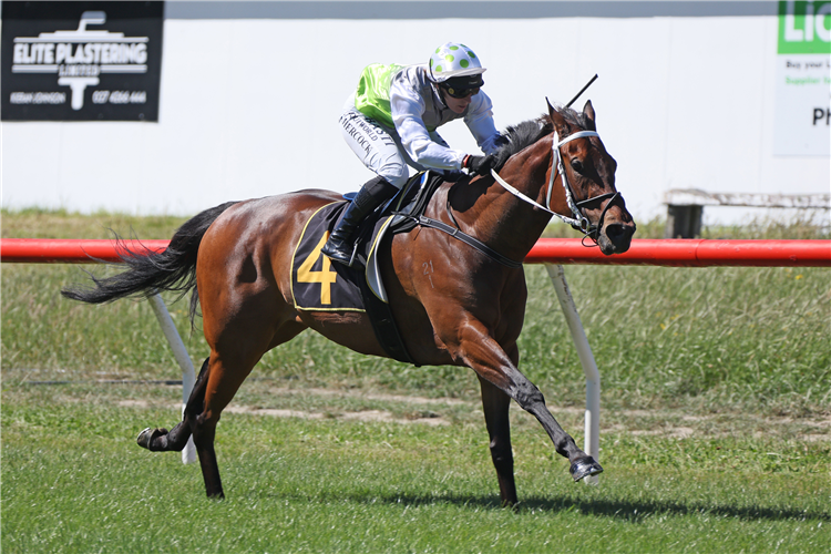 FALCRESTS BELLE winning the CENTRAL ITM MDN 1000M